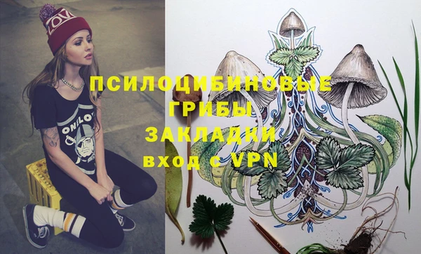 гидропоника Аркадак