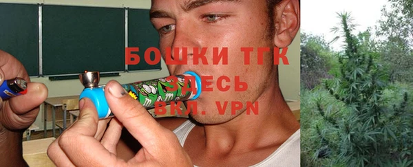 крисы Арсеньев
