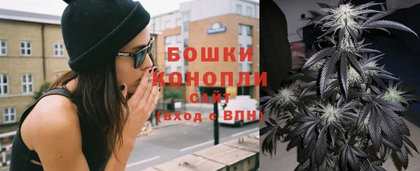 крисы Арсеньев