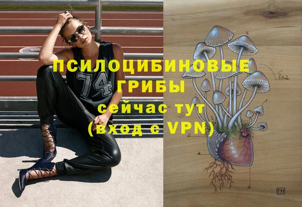 гашик Армянск