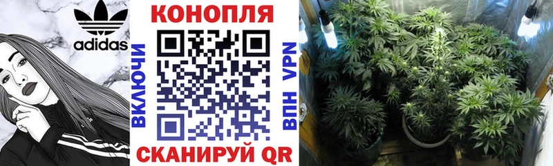 Канабис VHQ  Бугульма 